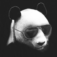 Profile Picture of Jimmy Nasser (@jimmy-nasser-1) on Quora