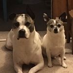Profile Picture of Tammy Boyle (@tammyboyle31) on Instagram