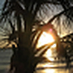 Profile Picture of Paula Barros (@paula barros) on Flickr