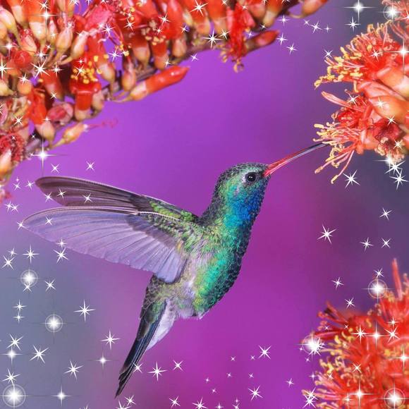 Profile Picture of Jj Young (@aahsofavoyelles) on Poshmark