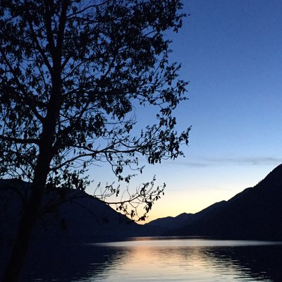 Profile Picture of Nancy Hoffmann (@NancyHoff13) on Twitter