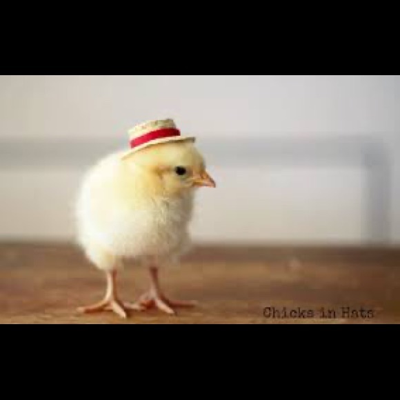 Profile Picture of James Merrill (@jimmydmerrill) on Poshmark