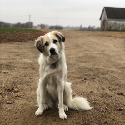 Profile Picture of Dylan Havens (@dylhavens) on Twitter