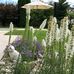 Profile Picture of Thomas Danner (@thomas.danner.106) on Facebook