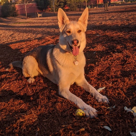 Profile Picture of Catherine Bunoan (@kathie_lan16) on Poshmark