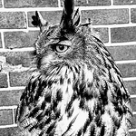 Profile Picture of Kirk James (@kirkusmaximus1988) on Flickr