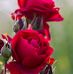 Profile Picture of Prit Singh (@prit.singh.756859) on Facebook