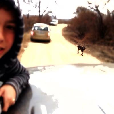 Profile Picture of ｌｕｃａ (@NicholasLuca) on Twitter