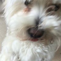 Profile Picture of Lisa Stell (@lisa-stell) on Quora