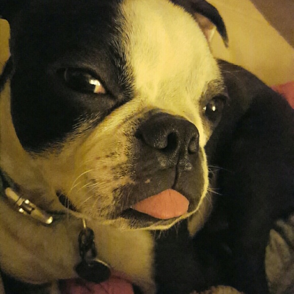 Profile Picture of Christina Wassell (@cwassell2) on Poshmark