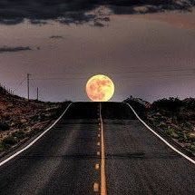 Profile Picture of fielding (@fieldin30531022) on Twitter