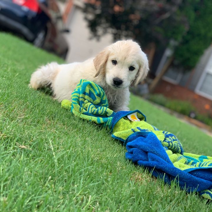 Profile Picture of Robin Freeman (@robinfreeman03) on Tiktok