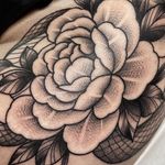 Profile Picture of ✖️Josh Wilson✖️ (@joshwilsontattoo) on Instagram