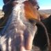 Profile Picture of Brad Hooser (@brad.hooser.1) on Facebook