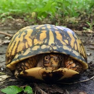 Profile Picture of Bill Rathmann (@billrathmann01) on Instagram