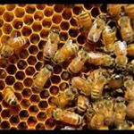 Profile Picture of Steve Tolley (@steve.tolley.98434) on Instagram