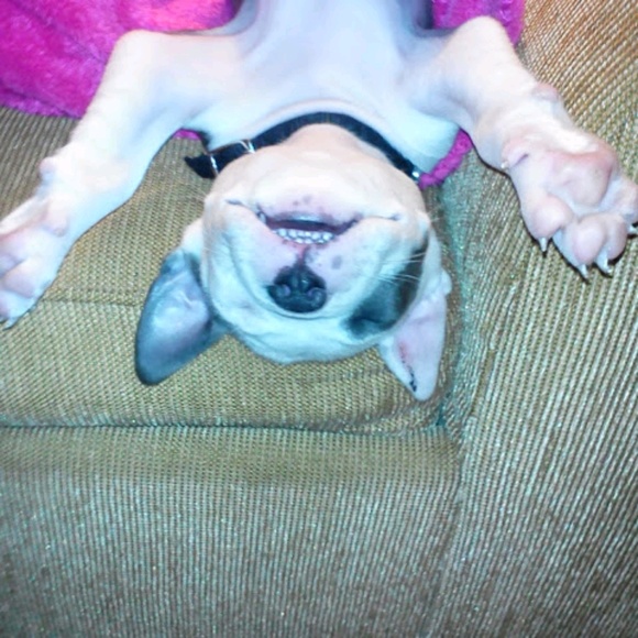 Profile Picture of Brian Tapley (@tapleyb) on Poshmark