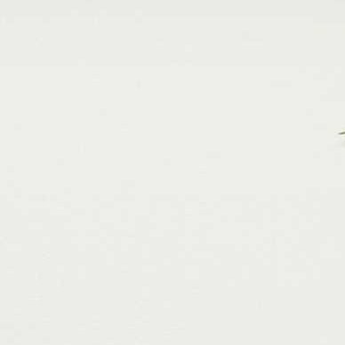 Profile Picture of JD (@DougIsley1776) on Twitter