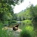 Profile Picture of Dusty Craig (@mrranchnw) on Pinterest