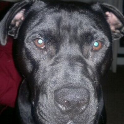 Profile Picture of Jonathan Hobbs (@Jon_Marley_12) on Twitter