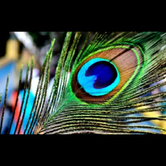 Profile Picture of Prashand Ramtahal (@prashandr) on Poshmark