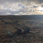 Profile Picture of Chase Herring (@wyohunter13) on Instagram