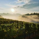 Profile Picture of Weinhof Nekrep (@weinhofnekrep) on Instagram