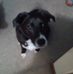 Profile Picture of Richard Stauffer (@richard.stauffer.568) on Facebook