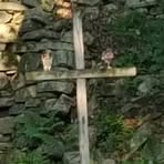 Profile Picture of David Wanisko (@David-Wanisko) on Facebook