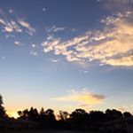 Profile Picture of Lisamwiegand (@lisamwiegand) on Instagram