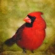 Profile Picture of Nllleonard (@nllleonard) on Youtube