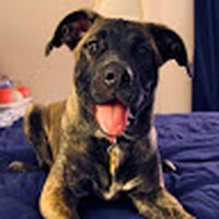 Profile Picture of Matthew Roser (@matthew-roser) on Quora