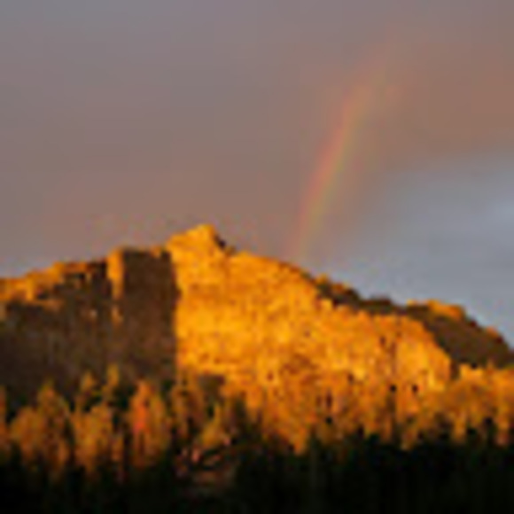 Profile Picture of G Efting (@balminstitute) on Poshmark