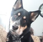 Corbin Shillington - Facebook Profile Picture of Corbin Shillington (@Corbin-Shillington) on Facebook