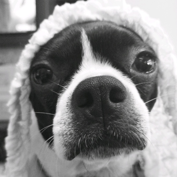 Profile Picture of Beth Ledray (@babble30) on Poshmark