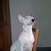 Profile Picture of Eric Bednarczyk (@Eric-Bednarczyk) on Facebook