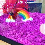 Profile Picture of Dwight Kennedy (@little_fish_big_tank) on Instagram