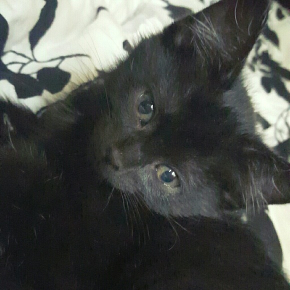 Profile Picture of Teresa Curty (@curtyteresa) on Poshmark