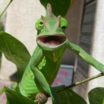 Profile Picture of Michael Karch (@michael_karch) on Twitter