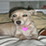 Profile Picture of Kalla (@kalla2007) on Flickr