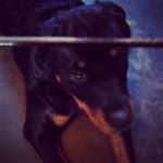 Profile Picture of Allyn Koger (@itzyoboy_koger) on Instagram