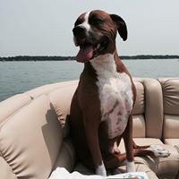 Profile Picture of Georgia Lymperis-stillwell (@georgia-lymperis-stillwell) on Quora