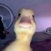 Profile Picture of kevin houlett (@kevinhoulett) on Pinterest