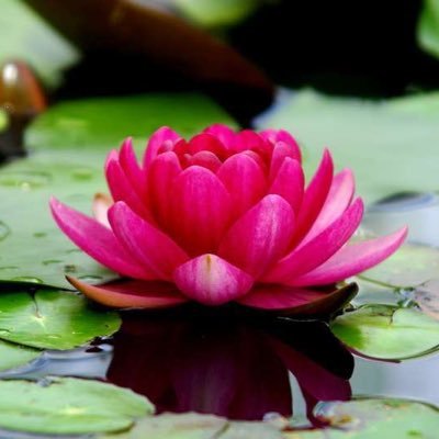 Profile Picture of विकास (@vikastiwari84) on Twitter