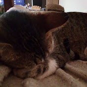 Profile Picture of Antonio Guzman (@user-wy3fz8pg4k) on Youtube