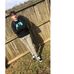 Profile Picture of Tyler Chavez (@tyler.chavez.7503) on Facebook