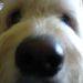 Profile Picture of Veronica Marsich (@vmarsich) on Pinterest