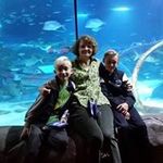 Elaine Thornlimb - Instagram Profile Picture of Elaine Thornlimb (@thornlimb) on Instagram