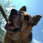 Profile Picture of Davide Piccirillo (@piccirillo_davide) on Instagram