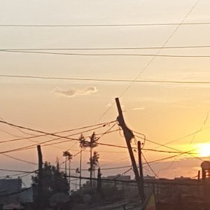 Profile Picture of Yohannes Alemu (@Yohanne23324991) on Twitter